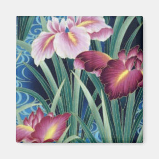 Imã Dias Apaixonados2