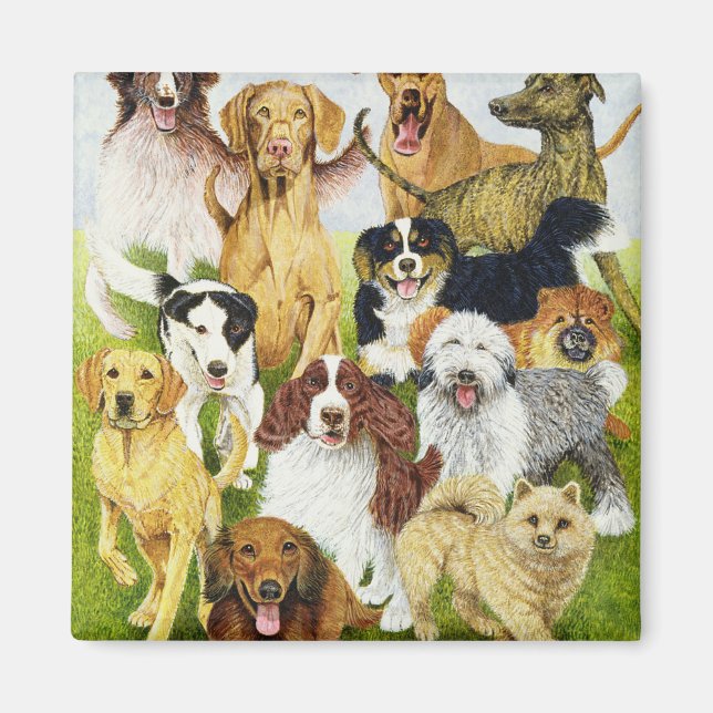 Imã Dias Cães (Frente)