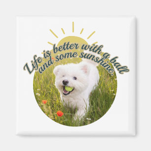 Imã Dias de Dandelion Bichon & Bola