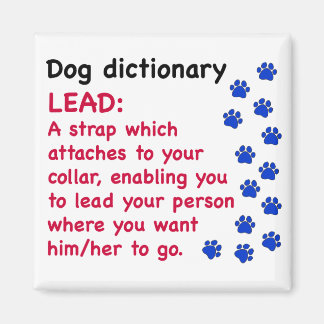 Imã Dicionário de cão líder