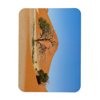 Ímã Die Dünen des Sossusvlei na Namíbia