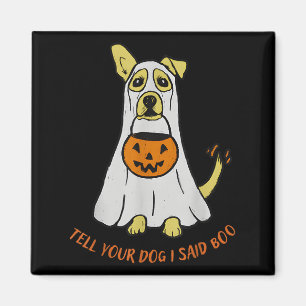 Imã Diga Ao Seu Cachorro Que Disse Boo Halloween