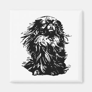 Imã Dignidade Pekingese