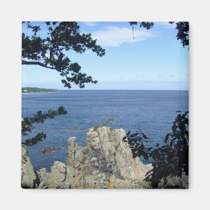 Imã Dinamarca: Costa da Dinamarca