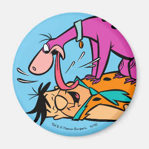 Imã Dino que lambe o Flintstone de Fred