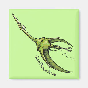 Imã Dinoflagellate