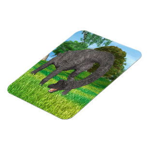 Ímã Dinossauro Brachiosaurus