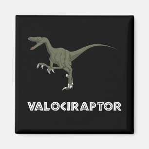Imã Dinossauro do Velociraptor
