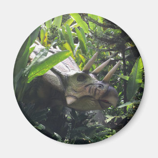 Imã Dinossauro na natureza