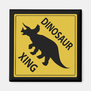 Imã Dinossauro Xing