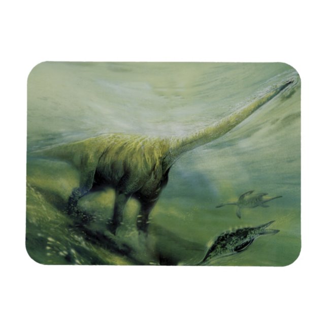 Ímã Dinossauros Vintage, Brachiossauro Nadando no Ocea (Horizontal)