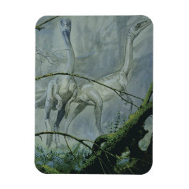 Ímã Dinossauros Vintage, Megapnosaurus aka Syntarsus