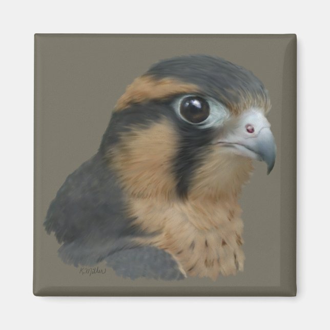 Imã Diplomado (Frente)