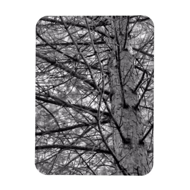 Ímã Direção das Ramificações da Árvore do Pino em Pret (Vertical)