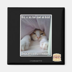 Imã Dis iz tão longe da cama.