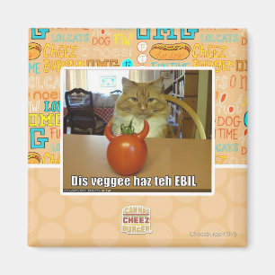 Imã Dis veggee haz o EBIL