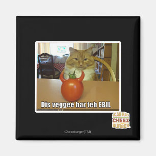 Imã Dis veggee haz o EBIL