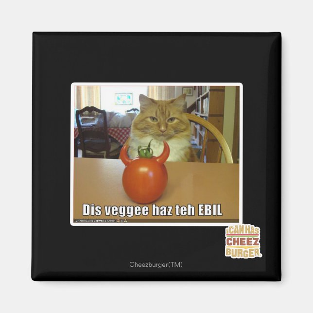 Imã Dis veggee haz o EBIL (Frente)