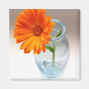 Imã Disposição Floral