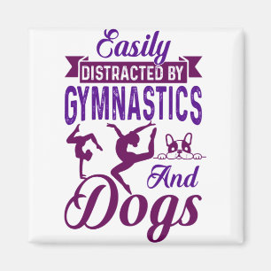 Imã Distraído facilmente por ginástica e cães