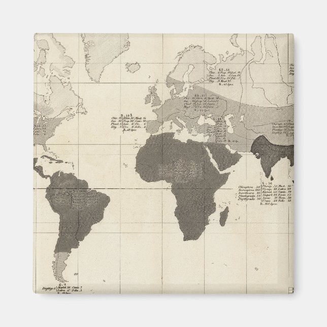 Imã Distribuição geográfica da vegetação (Frente)