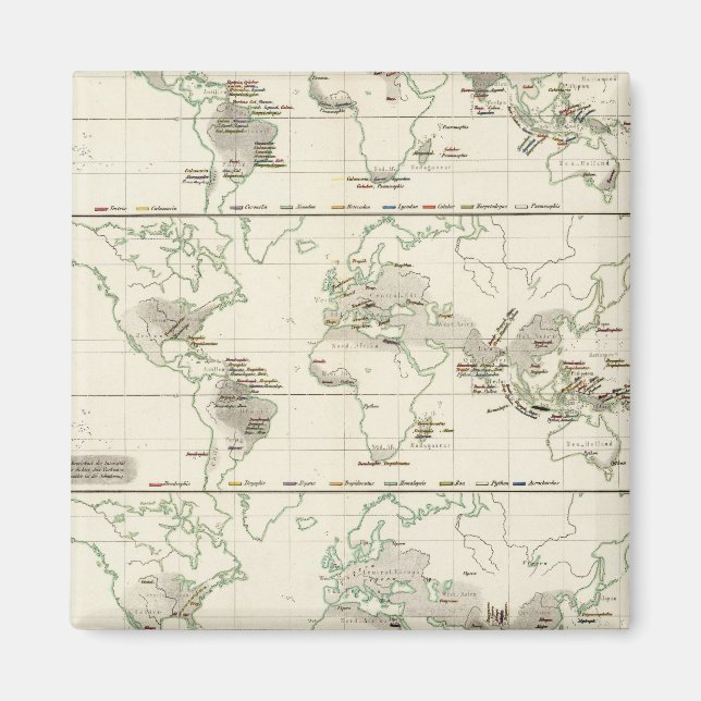 Imã Distribuições de cobra (Frente)