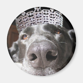 Imã Diva