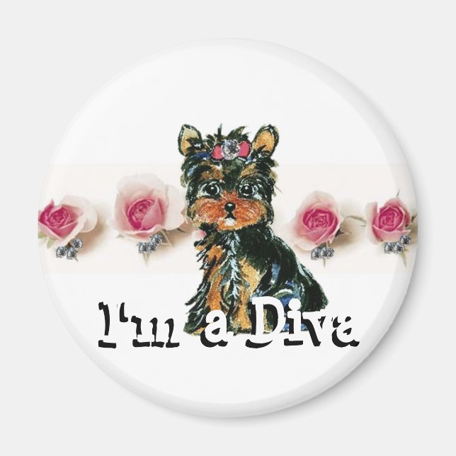 Imã Diva Magnet (Frente)