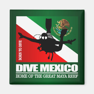 Imã Dive México DF2