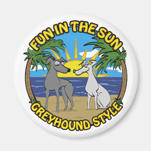 IMÃ DIVERSÃO AO SOL ESTILO GREYHOUND