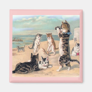 Imã Diversão de gato no Beach Magnet