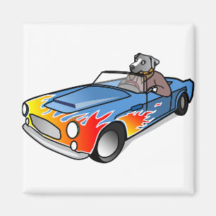 Imã Diversão e humor, personagem de carro.