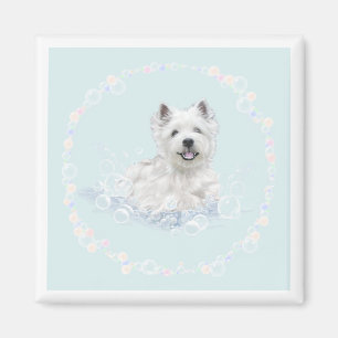 Imã Diversão na hora do banho do Westie