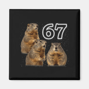 Imã Divertido 3 Groundhog Uivando Para A Lua Paródia G