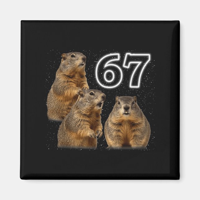 Imã Divertido 3 Groundhog Uivando Para A Lua Paródia G (Frente)