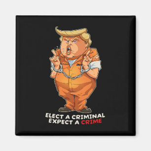 Imã Divertido Anti-trump Eleja Um Criminoso Crimes Div