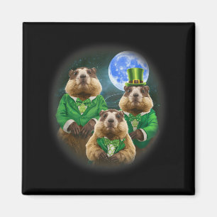 Imã Divertido Três Groundhog Lua 3 Cabeça de Groundhog