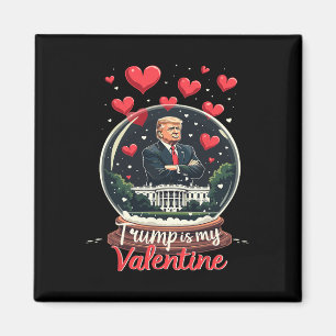 Imã Divertido Trump é meu namorado homens mulheres apo