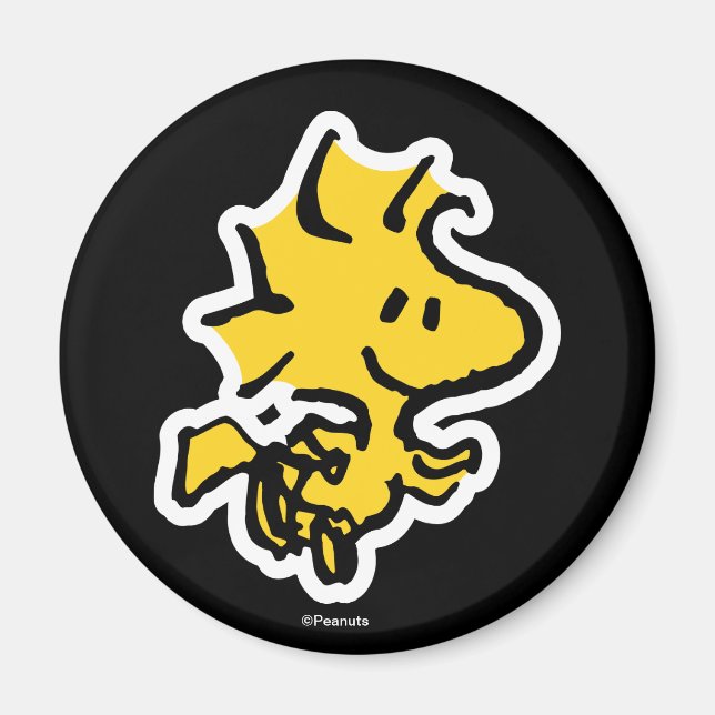 Imã Divertimento e flores do Snoopy & Woodstock (Frente)