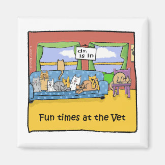 Imã Divertimento no veterinário