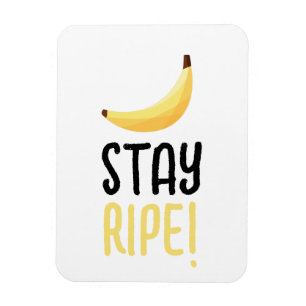Ímã Dívidas Favoritas de Banana Retro Engraçadas Puns