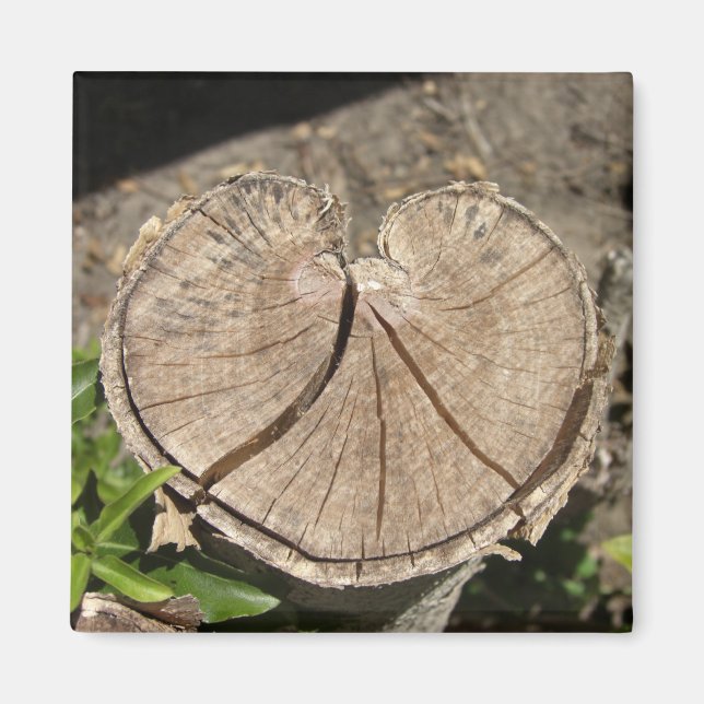 Imã Dividir Magnetos de Bomba Cardíaca (Frente)