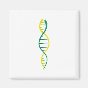 IMÃ DNA