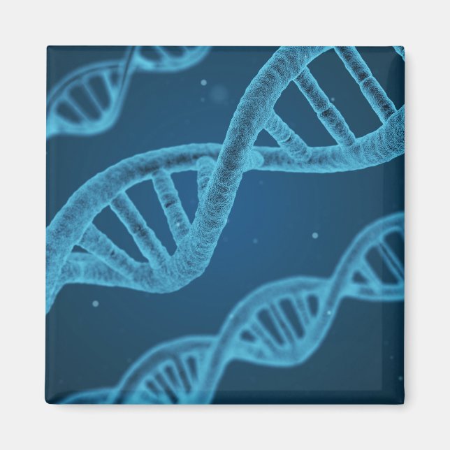 Imã DNA Double Helix (Frente)