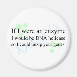 Imã DNA Helicase
