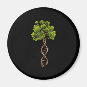 Imã Dna Tree Of Life Science Genetics Biology Environm