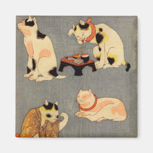 Imã ) do 中 do (do たとえ尽の内, gatos japo