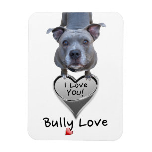 Ímã do amor da intimidação de Pitbull