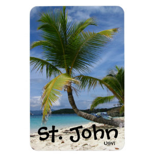 Ímã do carro de St John