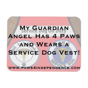 Ímã do carro do anjo-da-guarda